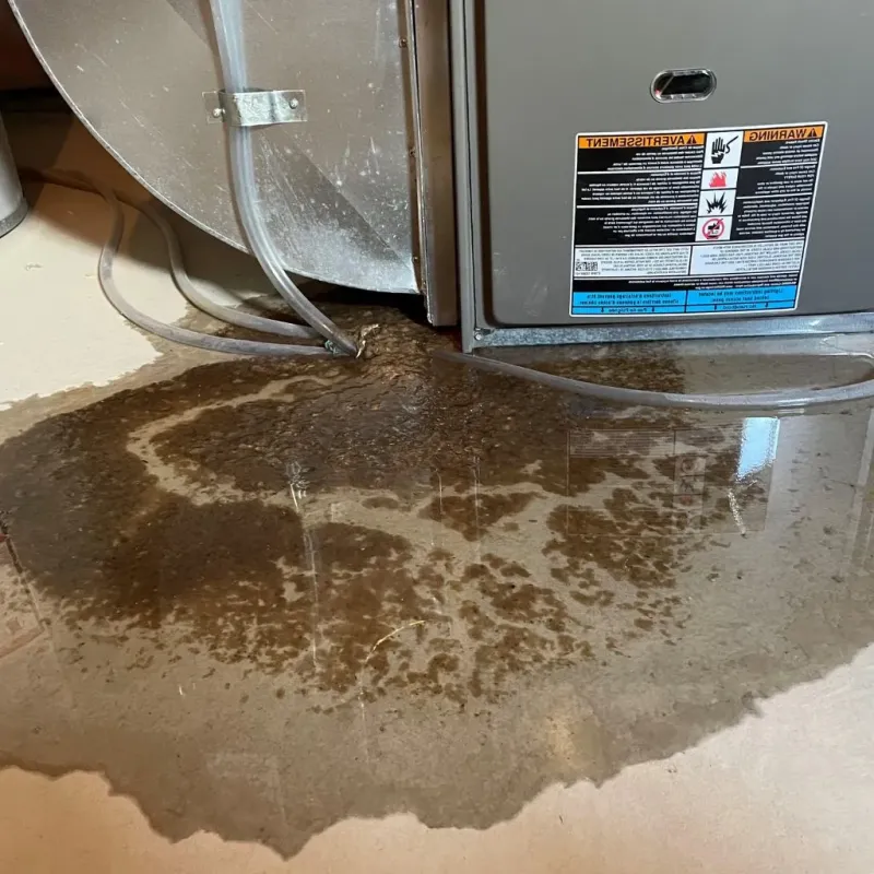 Pipe Burst and Leak Restoration in Blue Ash, OH