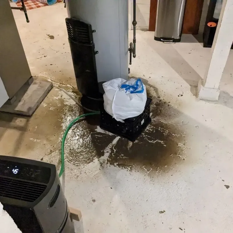 Sewage Backup Cleanup Service in Blue Ash, OH